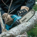 The Best Electric Saws to Cut Tree Branches: This is Your Guide